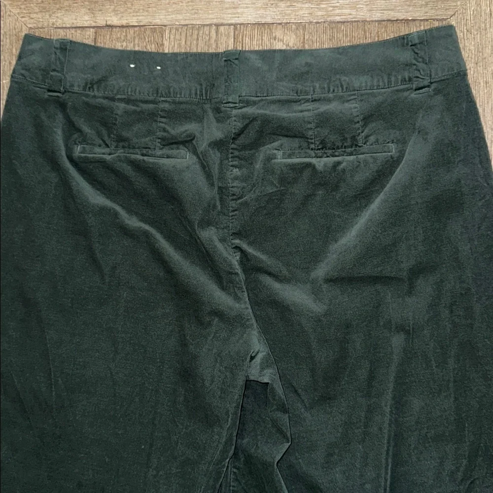Lane Bryant Corduroy Trouser Pants in Green 22 Short